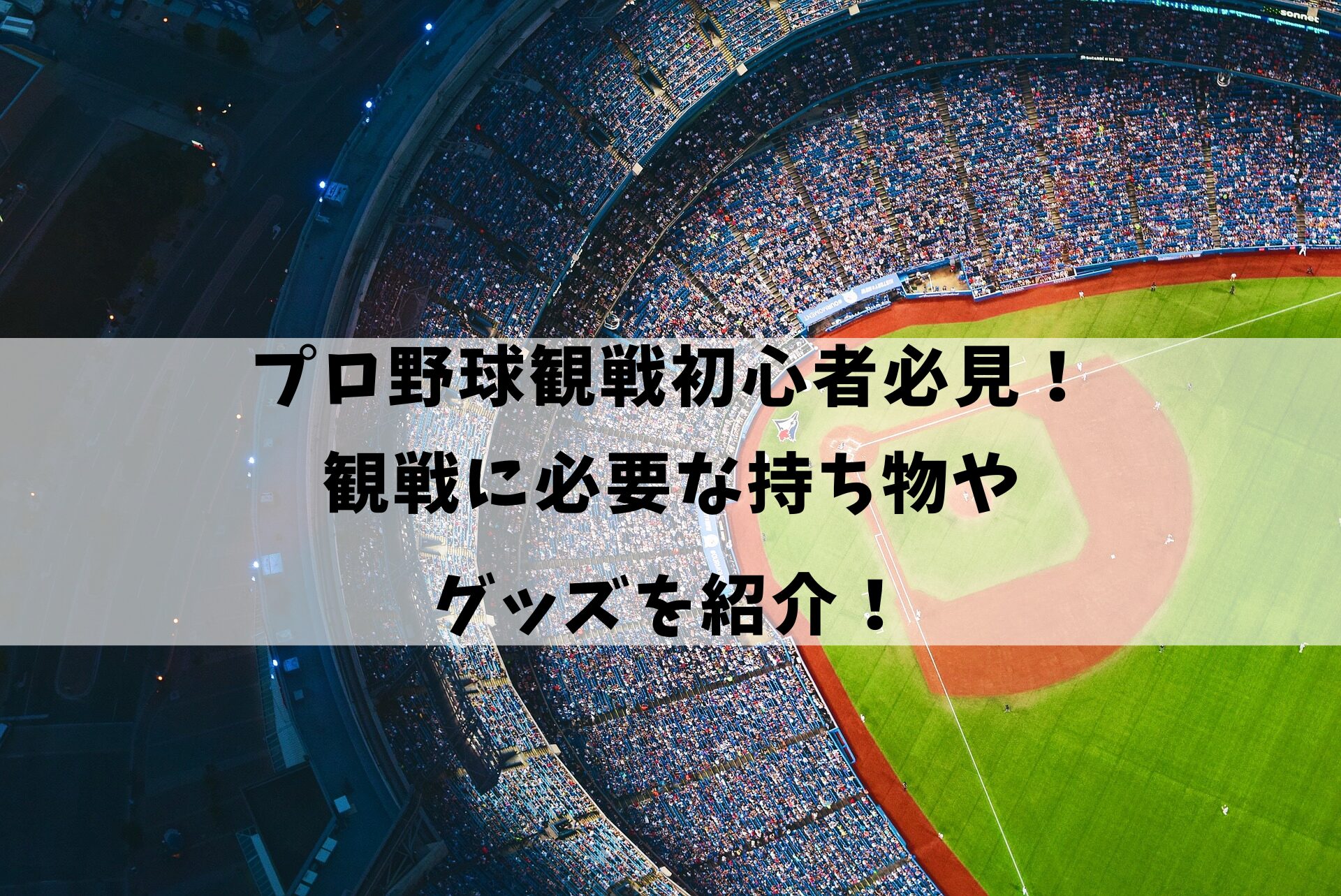 プロ野球観戦初心者必見！観戦に必要な持ち物やグッズを紹介！