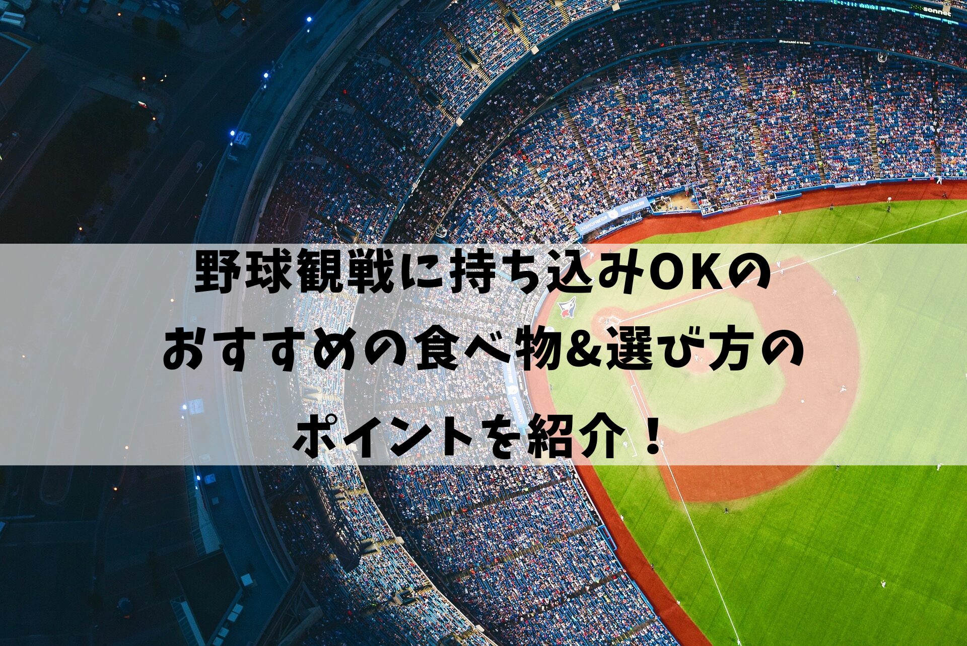 野球観戦に持ち込みOKのおすすめの食べ物&選び方のポイントを紹介！